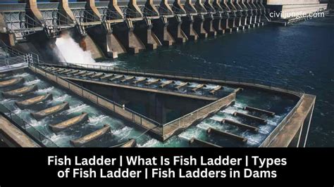 What is a Fish Ladder: Understanding Fish Ladders:.